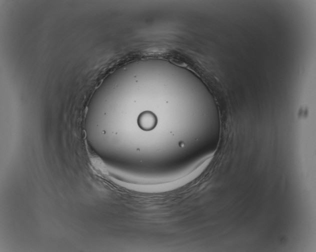 X0000111491441200907281215