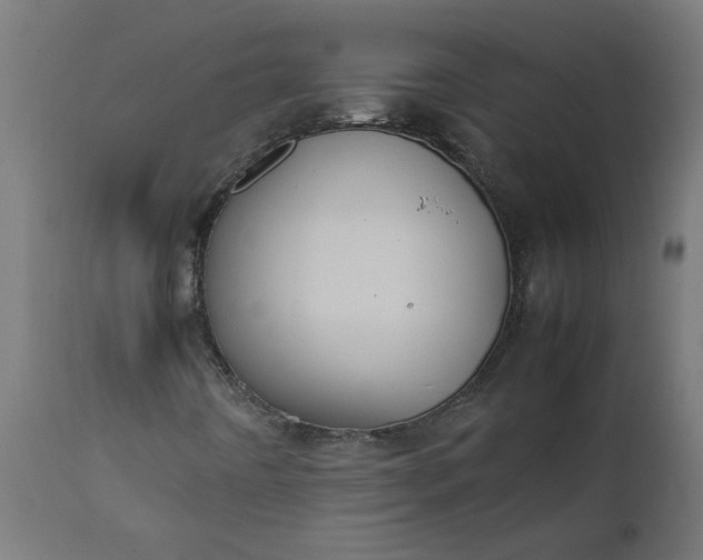 X0000111491442200907281215