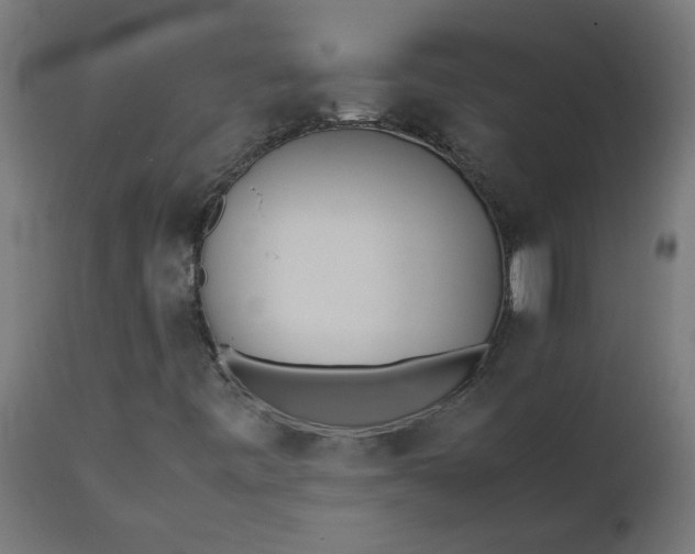 X0000111491443200907281215