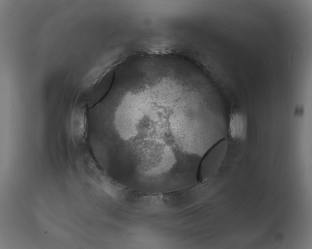 X0000111491444200907281215