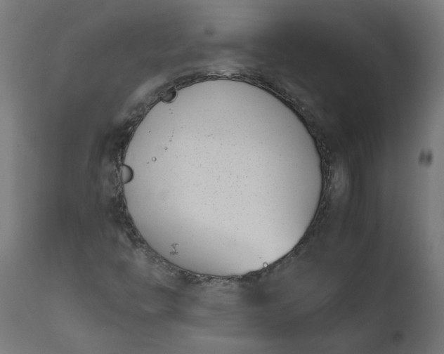 X0000111491446200907281215