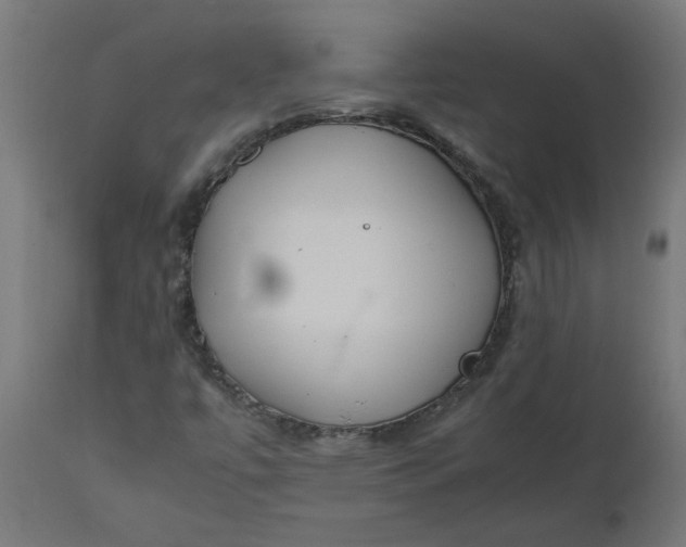 X0000111491447200907281215