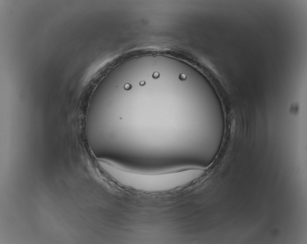 X0000111491448200907281215