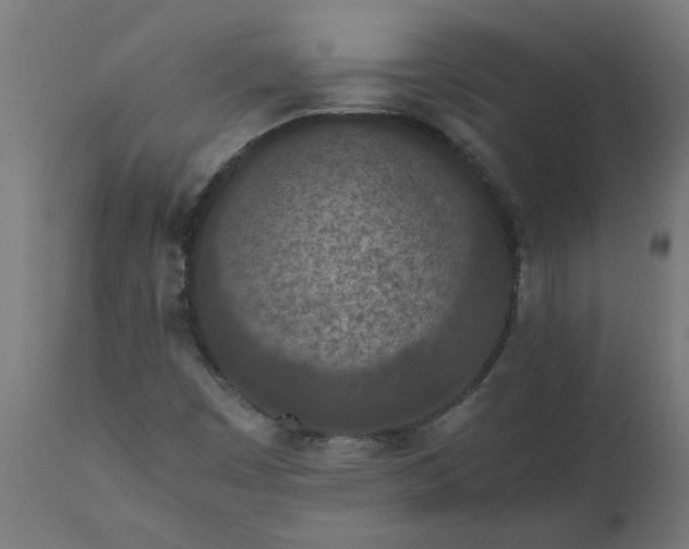 X0000111491449200907281215