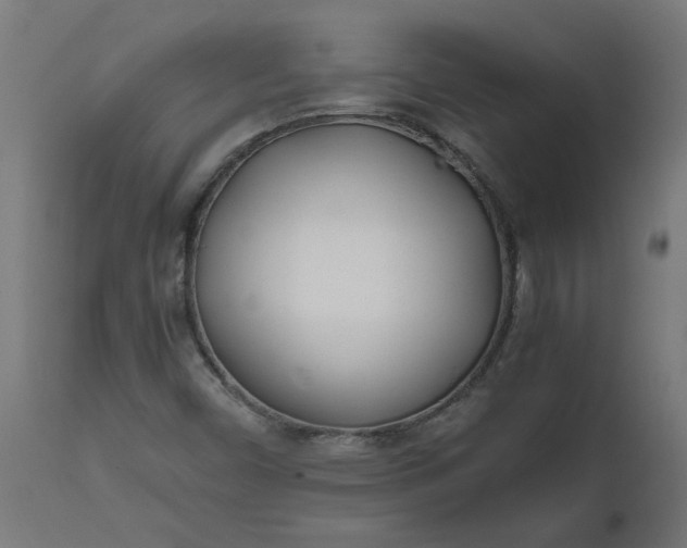 X0000111491450200907281215