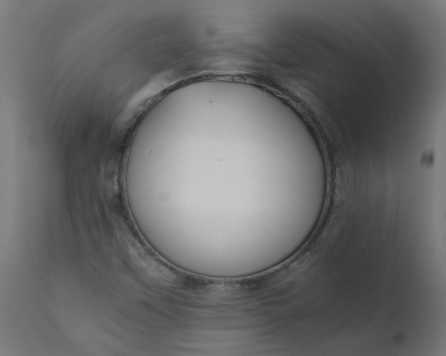 X0000111491451200907281215