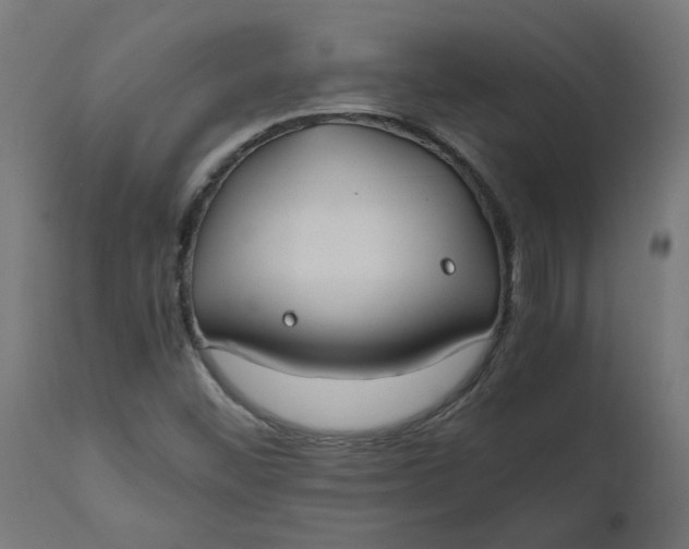 X0000111491452200907281215