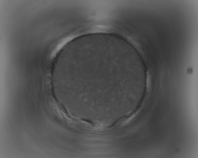 X0000111491453200907281215