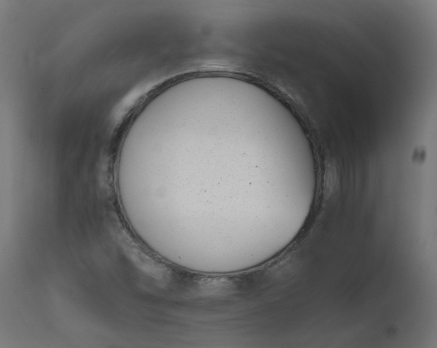 X0000111491454200907281215