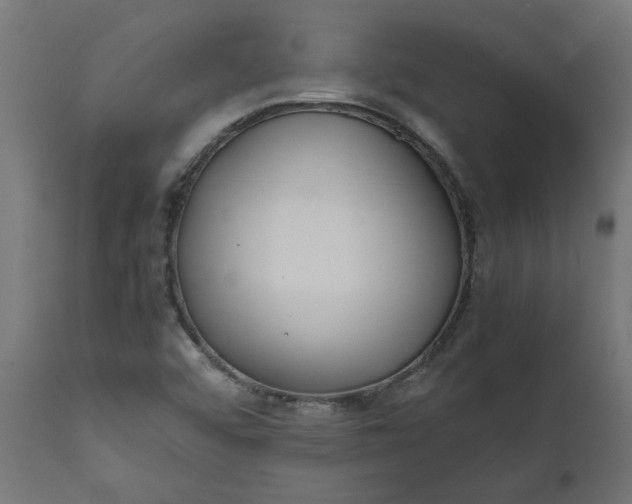 X0000111491456200907281215