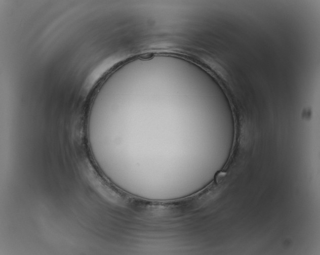 X0000111491458200907281215