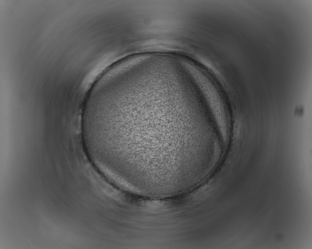 X0000111491459200907281215