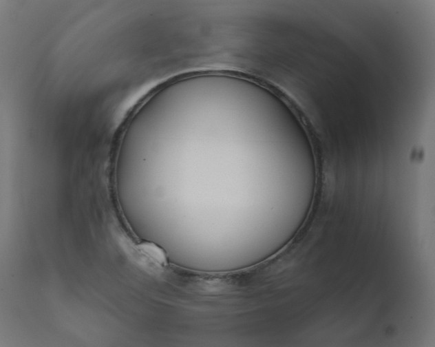 X0000111491460200907281215