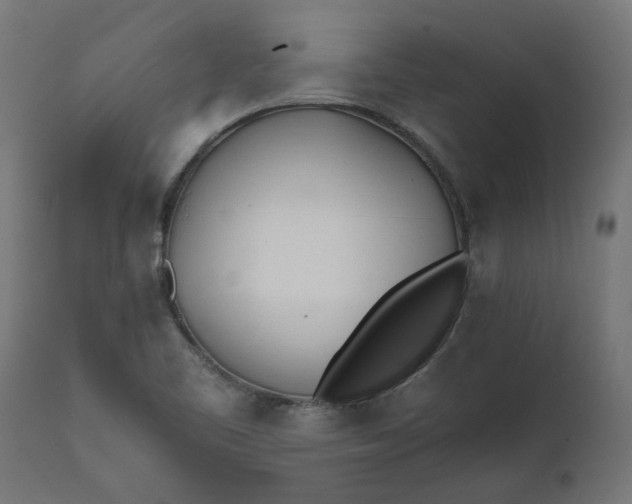 X0000111491461200907281215