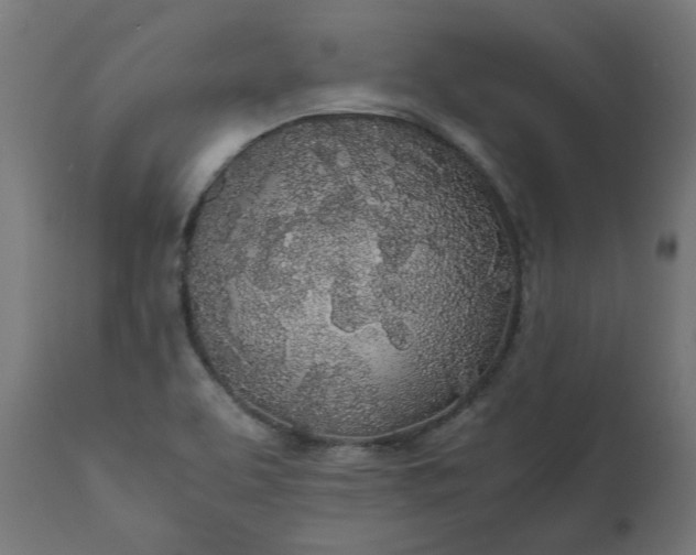 X0000111491463200907281215