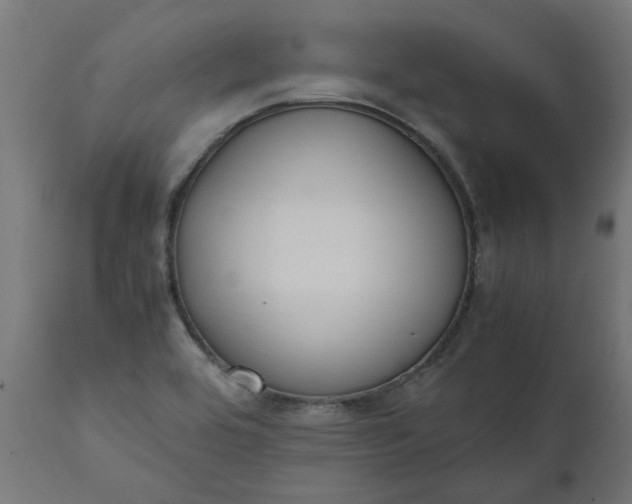 X0000111491464200907281215