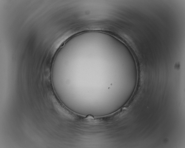 X0000111491465200907281215