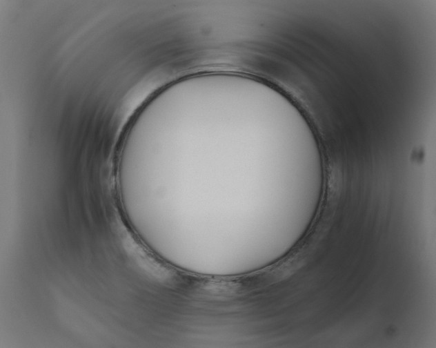 X0000111491466200907281215