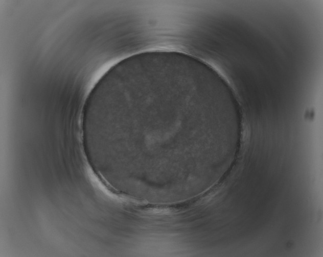 X0000111491468200907281215