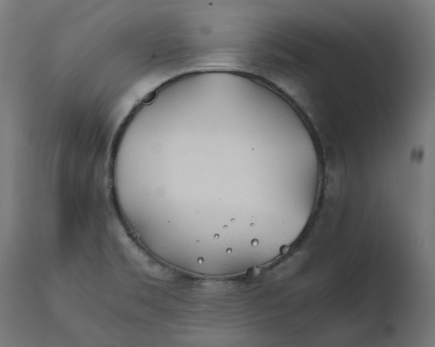 X0000111491469200907281215