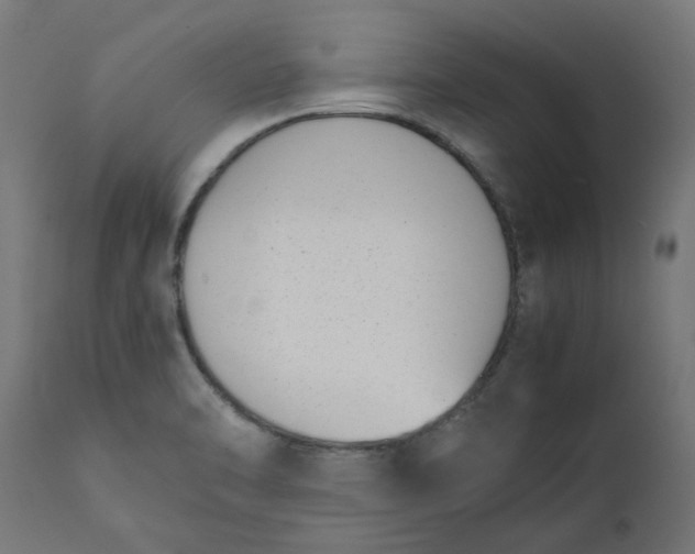 X0000111491470200907281215