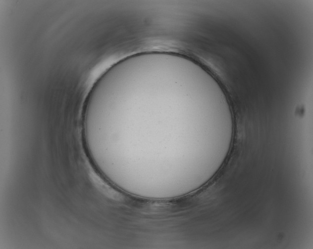 X0000111491471200907281215