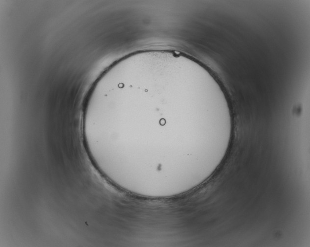 X0000111491472200907281215