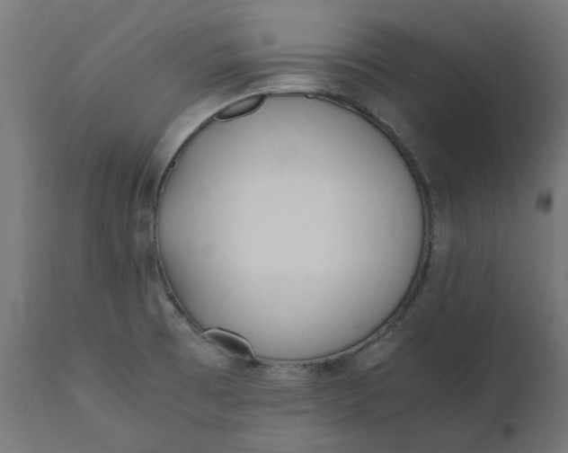 X0000111491473200907281215