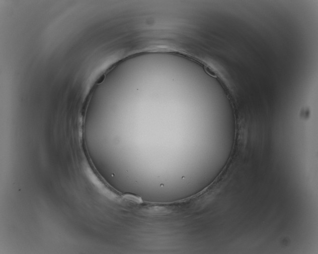 X0000111491476200907281215