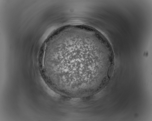 X0000111491477200907281215