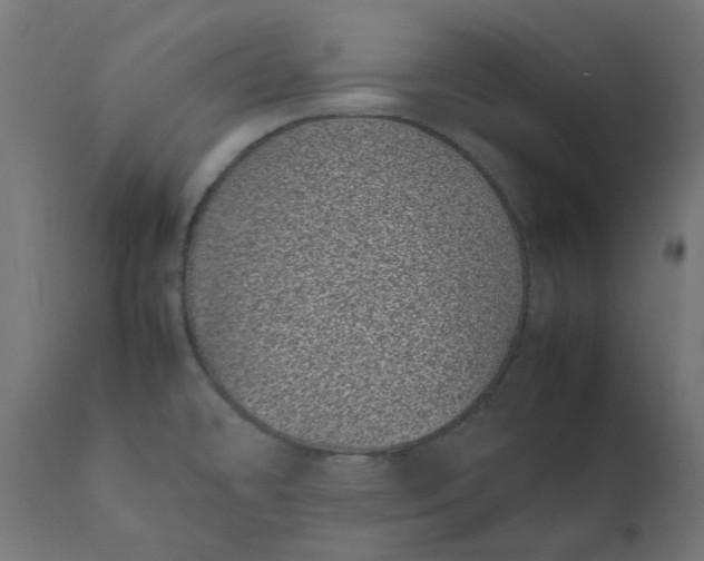 X0000111491478200907281215