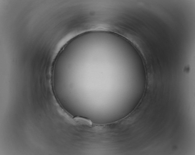 X0000111491480200907281215