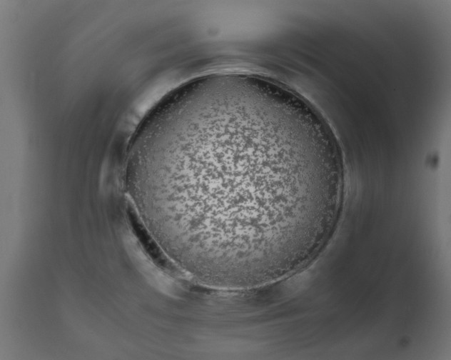 X0000111491481200907281215