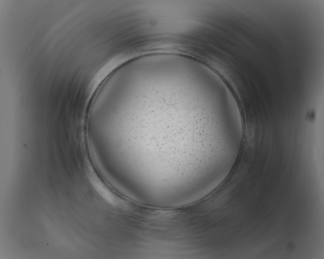 X0000111491482200907281215