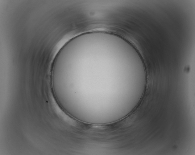 X0000111491483200907281215