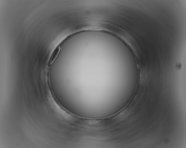 X0000111491484200907281215