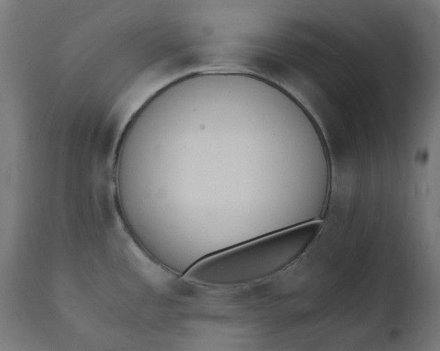 X0000111491485200907281215