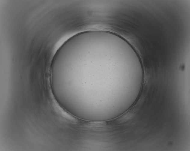 X0000111491486200907281215