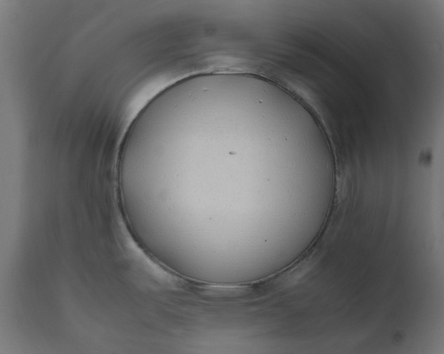 X0000111491487200907281215