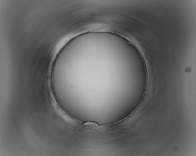 X0000111491488200907281215