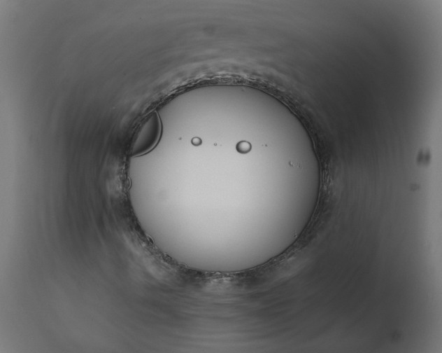 X0000111491490200907281214