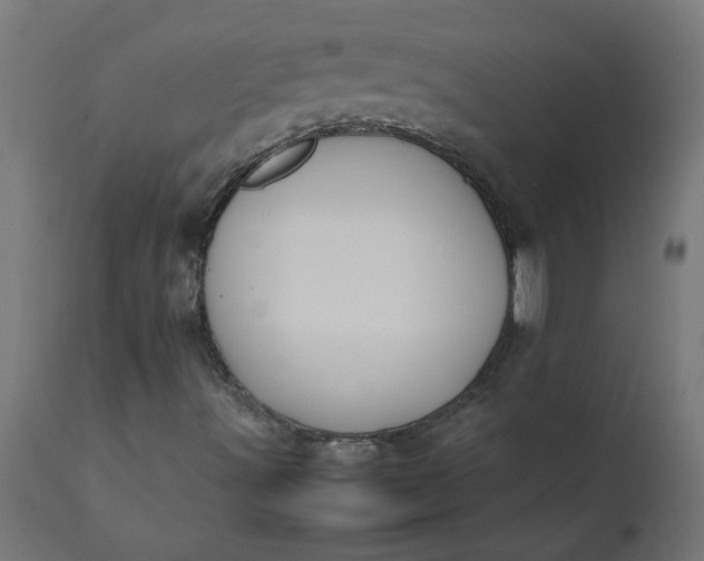 X0000111491491200907281214