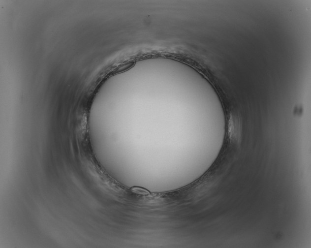 X0000111491492200907281214