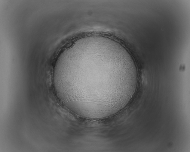 X0000111491493200907281214