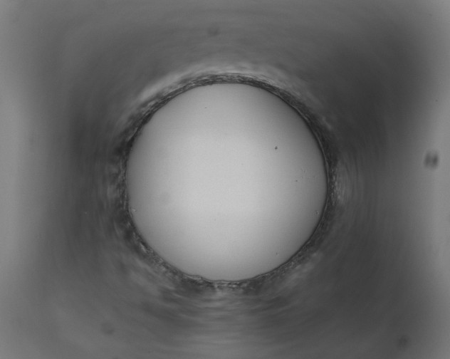 X0000111491494200907281214