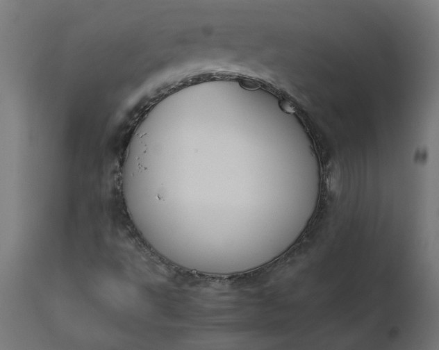 X0000111491495200907281214