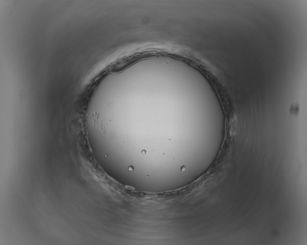 X0000111491496200907281214