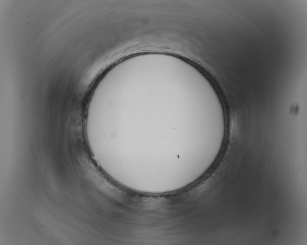 X0000111491498200907281214