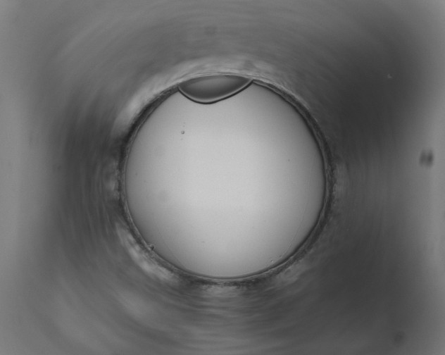 X0000111491499200907281214