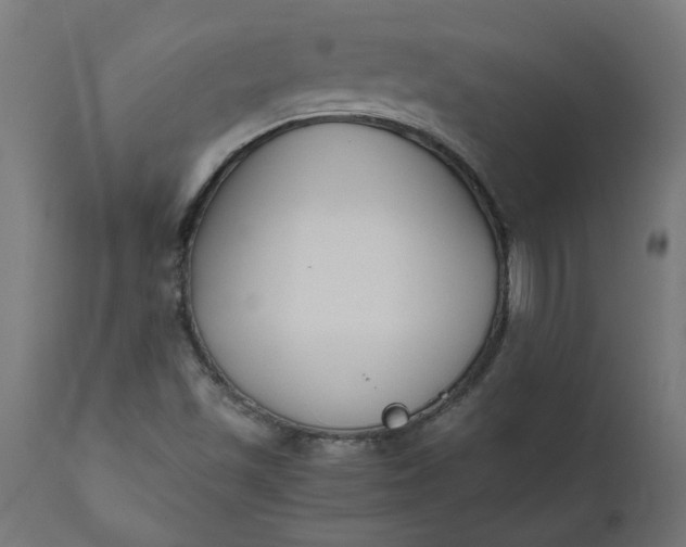 X0000111491501200907281214